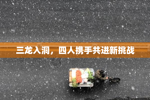 三龙入洞，四人携手共进新挑战