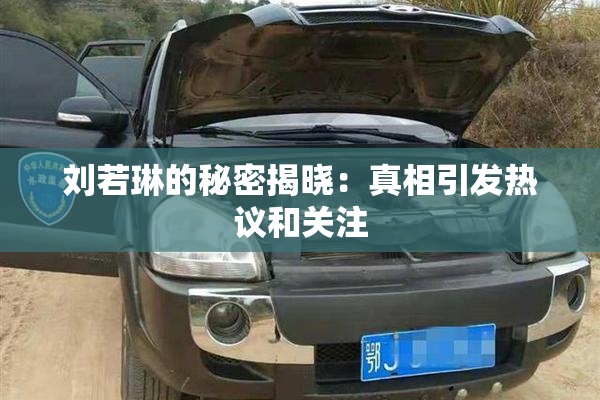 刘若琳的秘密揭晓：真相引发热议和关注