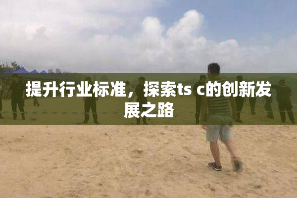 提升行业标准，探索ts c的创新发展之路
