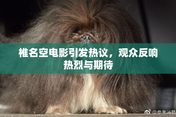 椎名空电影引发热议，观众反响热烈与期待