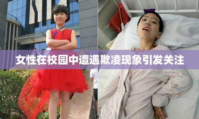 女性在校园中遭遇欺凌现象引发关注