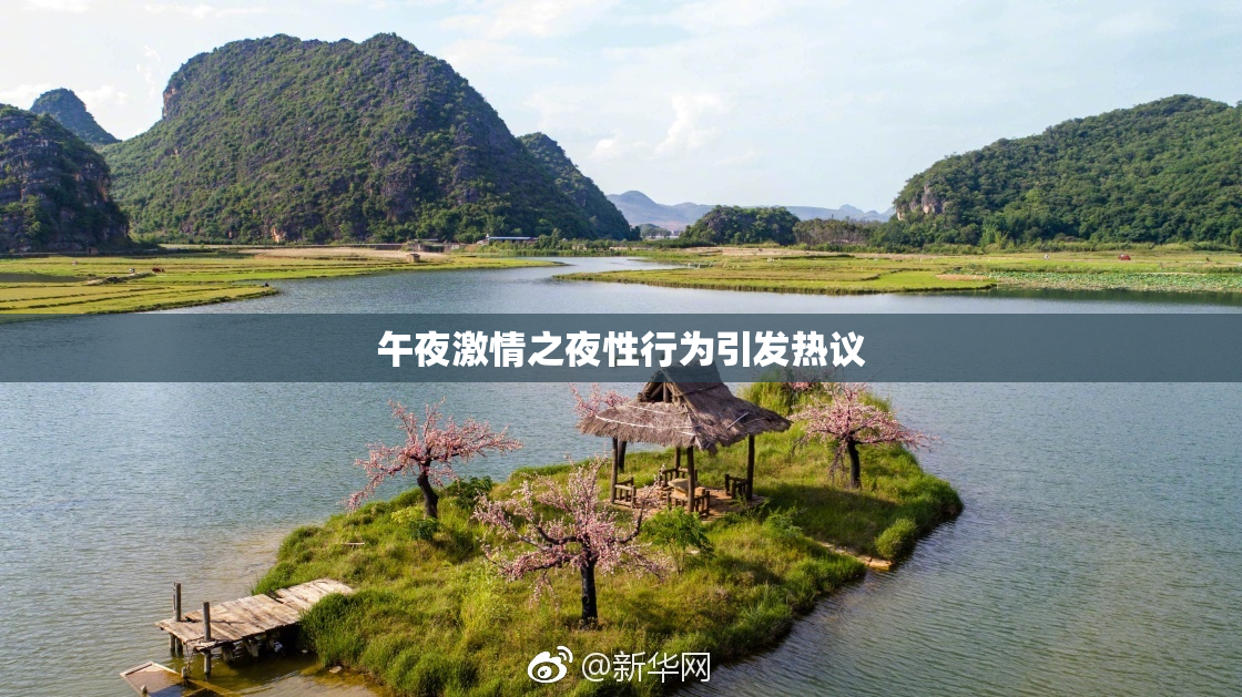午夜激情之夜性行为引发热议