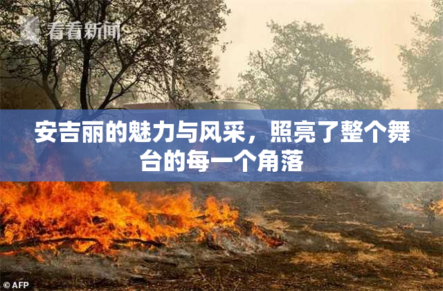 安吉丽的魅力与风采，照亮了整个舞台的每一个角落