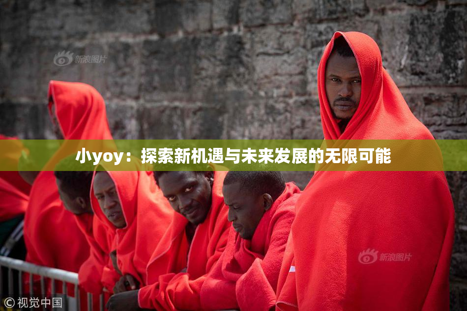 小yoy：探索新机遇与未来发展的无限可能