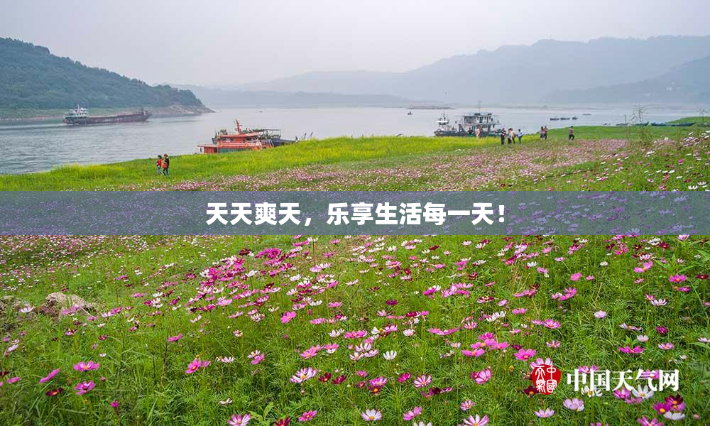 天天爽天，乐享生活每一天！