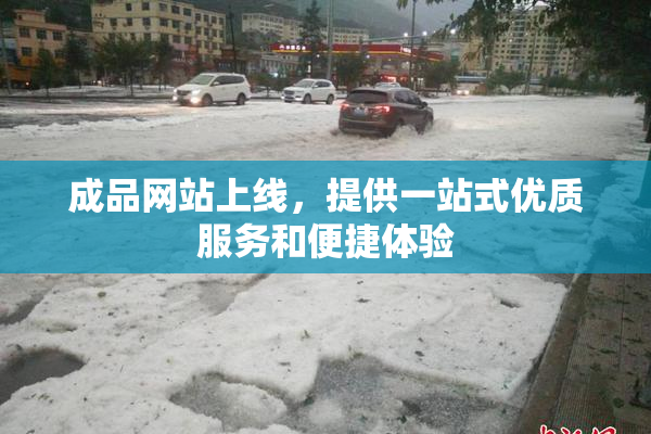 成品网站上线，提供一站式优质服务和便捷体验