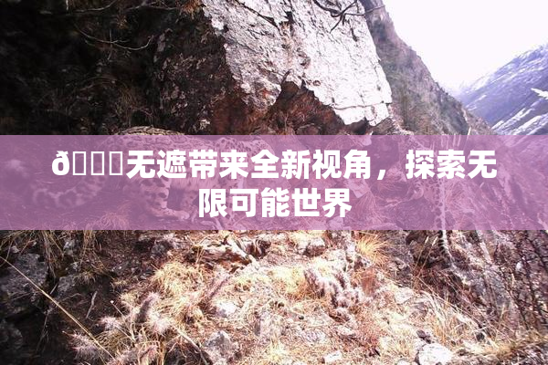 🔞无遮带来全新视角，探索无限可能世界