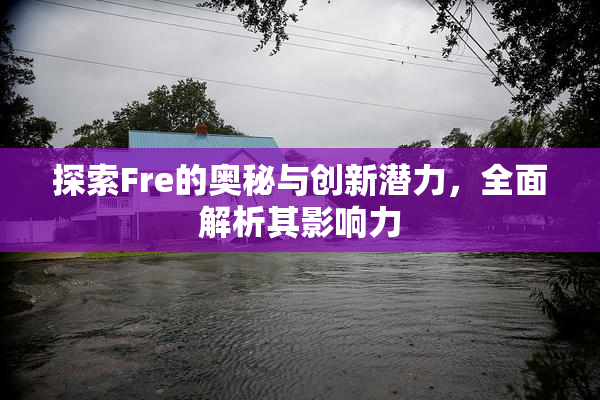 探索Fre的奥秘与创新潜力，全面解析其影响力
