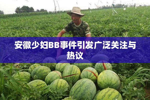 安徽少妇BB事件引发广泛关注与热议