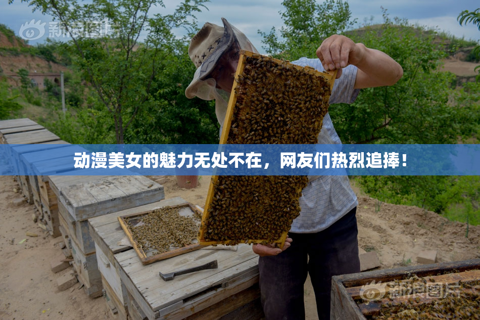 动漫美女的魅力无处不在，网友们热烈追捧！