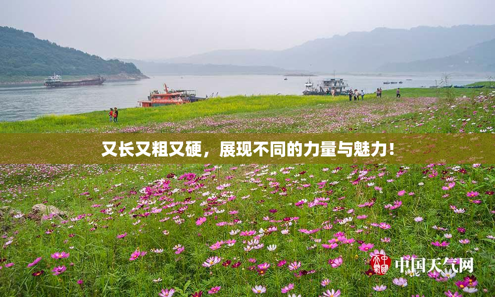 又长又粗又硬，展现不同的力量与魅力！