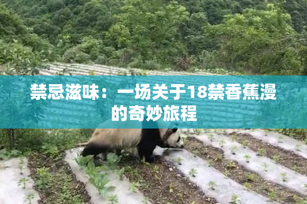 禁忌滋味：一场关于18禁香蕉漫的奇妙旅程