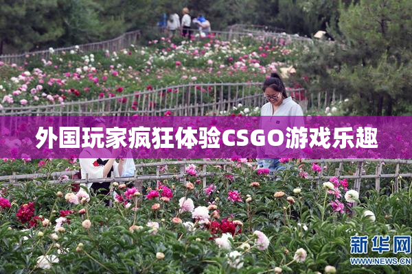 外国玩家疯狂体验CSGO游戏乐趣