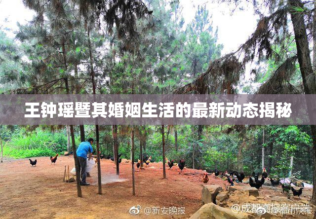 王钟瑶暨其婚姻生活的最新动态揭秘