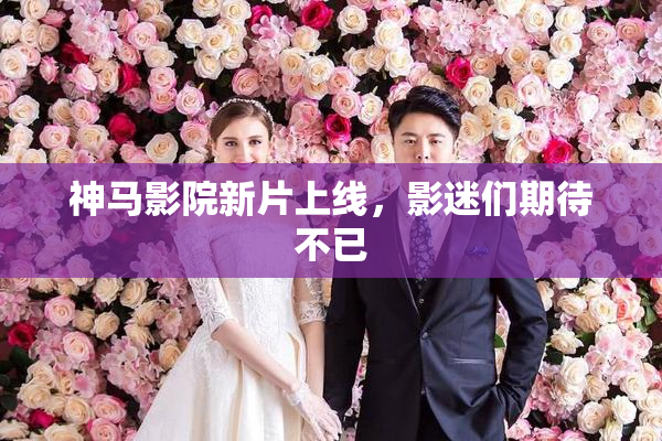 神马影院新片上线，影迷们期待不已