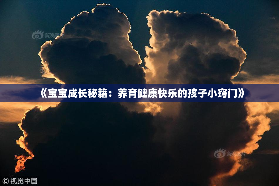 《宝宝成长秘籍：养育健康快乐的孩子小窍门》