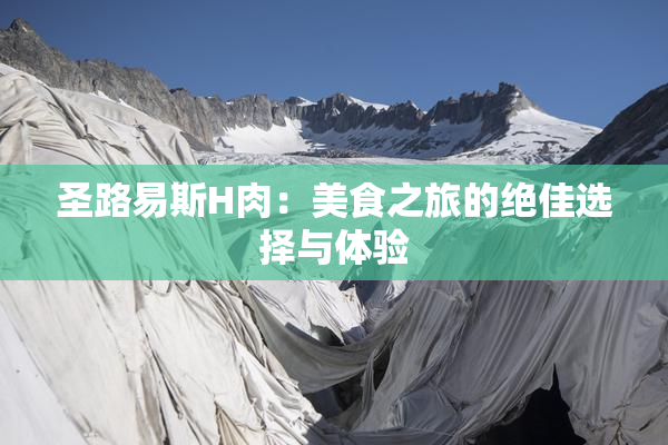 圣路易斯H肉：美食之旅的绝佳选择与体验