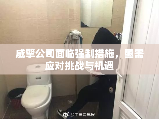 威擎公司面临强制措施，亟需应对挑战与机遇