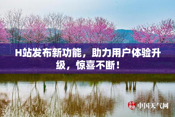 H站发布新功能，助力用户体验升级，惊喜不断！