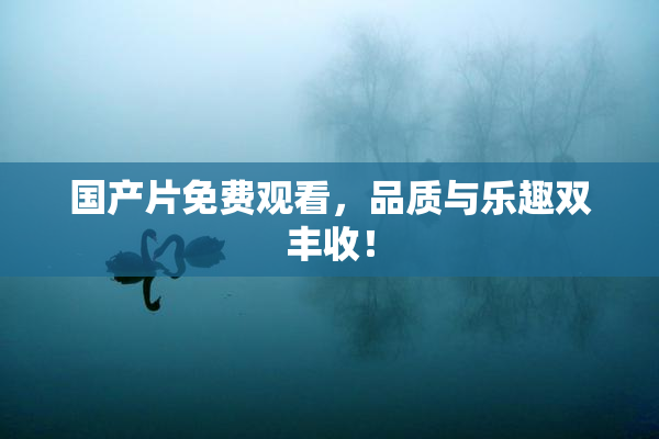 国产片免费观看，品质与乐趣双丰收！