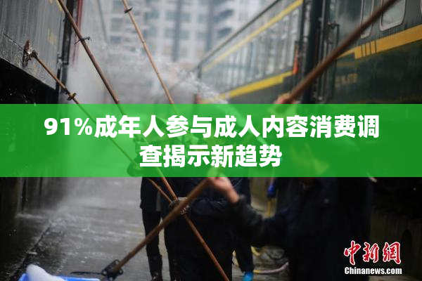 91%成年人参与成人内容消费调查揭示新趋势