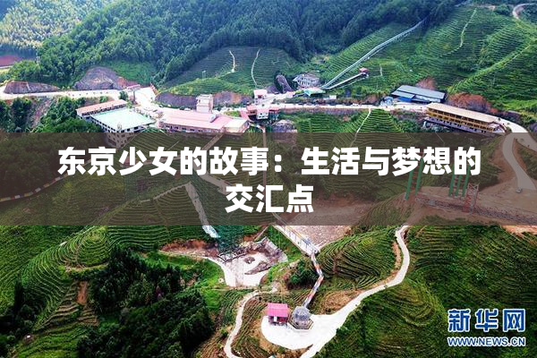 东京少女的故事：生活与梦想的交汇点