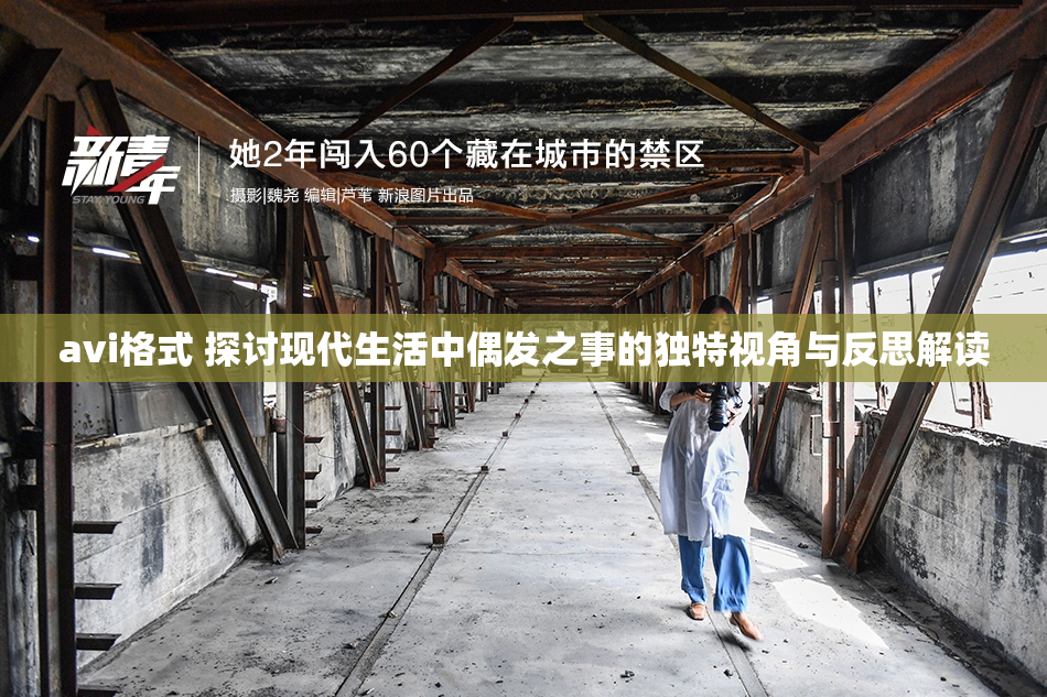 avi格式 探讨现代生活中偶发之事的独特视角与反思解读