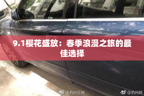 9.1樱花盛放：春季浪漫之旅的最佳选择
