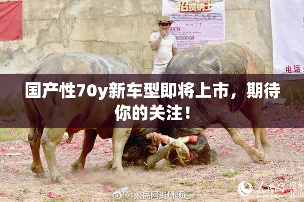 国产性70y新车型即将上市，期待你的关注！