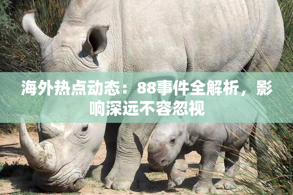 海外热点动态：88事件全解析，影响深远不容忽视