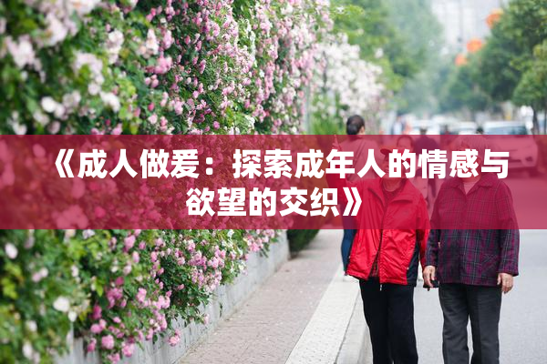 《成人做爰：探索成年人的情感与欲望的交织》