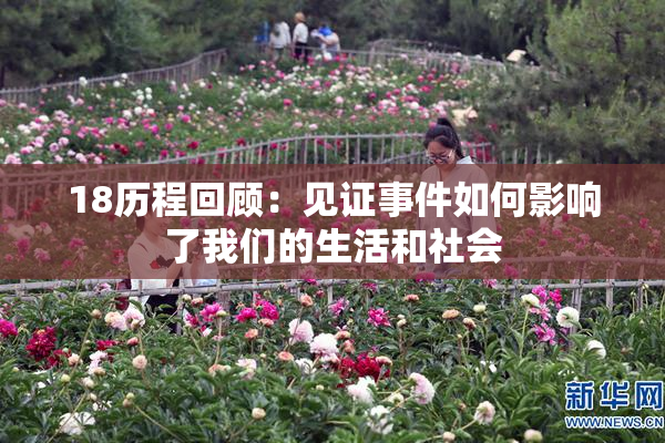 18历程回顾：见证事件如何影响了我们的生活和社会