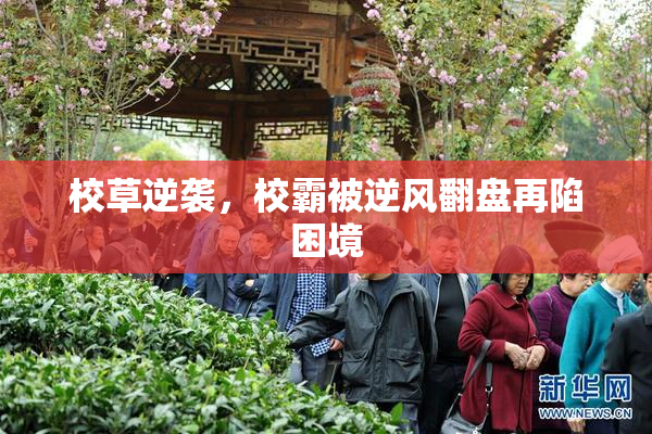 校草逆袭，校霸被逆风翻盘再陷困境