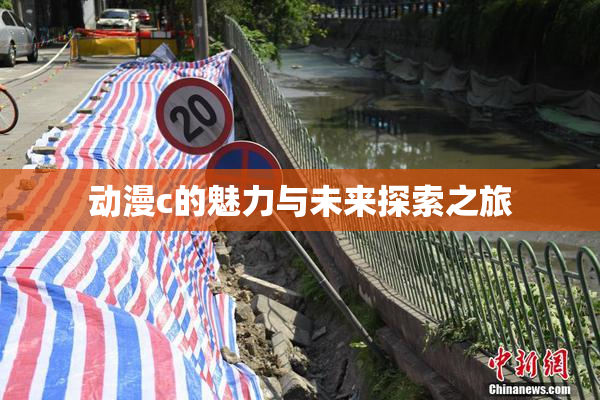 动漫c的魅力与未来探索之旅