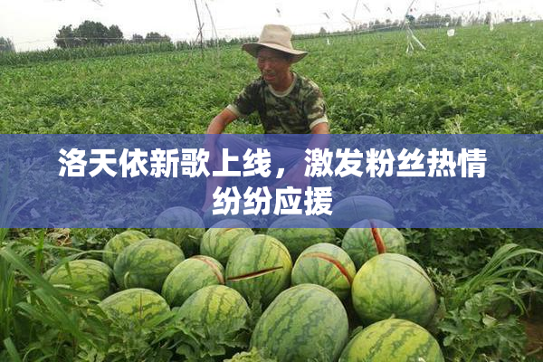 洛天依新歌上线，激发粉丝热情纷纷应援