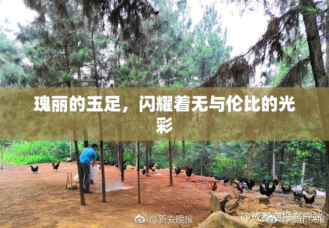 瑰丽的玉足，闪耀着无与伦比的光彩