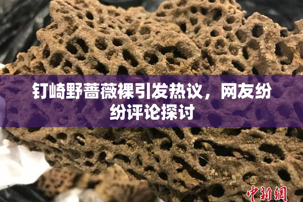 钉崎野蔷薇裸引发热议，网友纷纷评论探讨