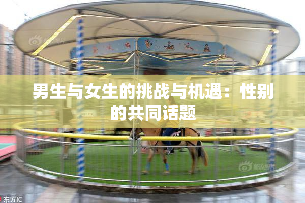 男生与女生的挑战与机遇：性别的共同话题