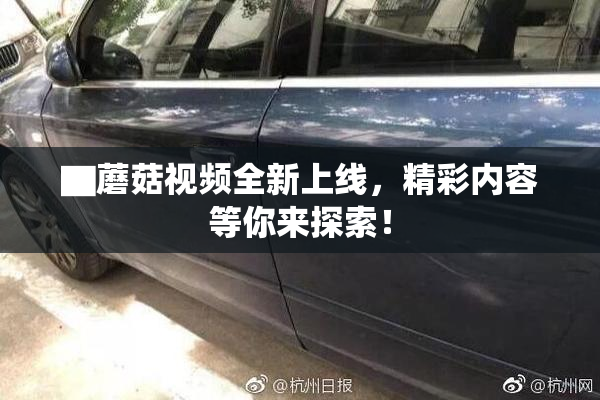 ▇蘑菇视频全新上线，精彩内容等你来探索！