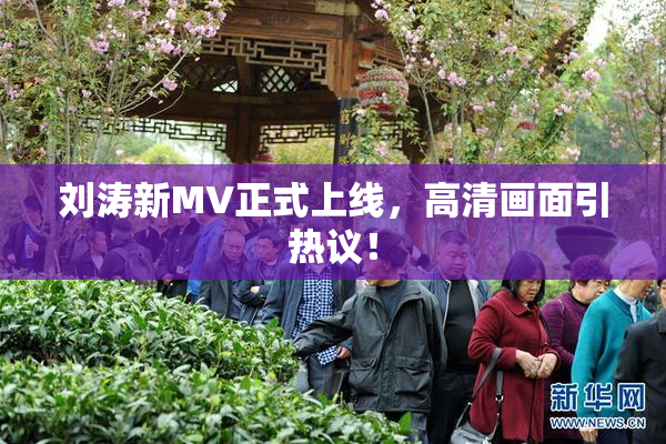 刘涛新MV正式上线，高清画面引热议！