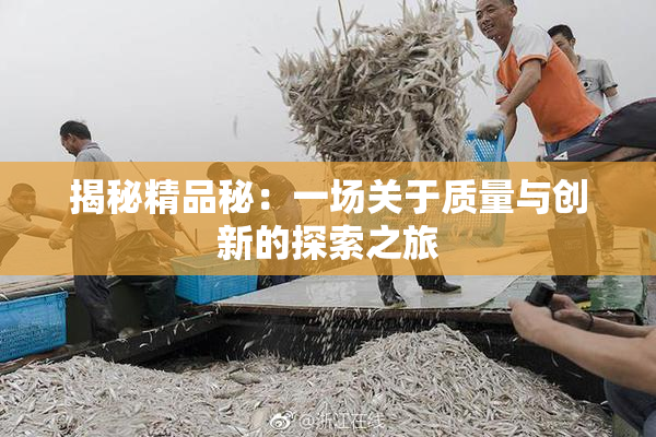 揭秘精品秘：一场关于质量与创新的探索之旅