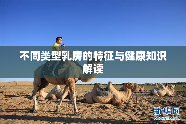 不同类型乳房的特征与健康知识解读