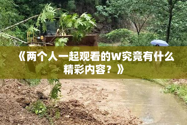 《两个人一起观看的W究竟有什么精彩内容？》