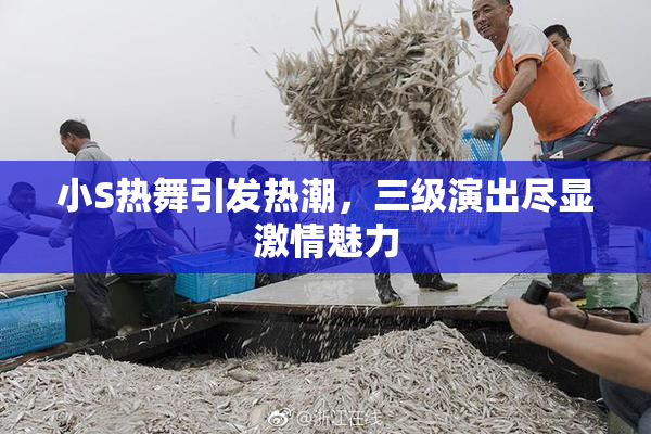 小S热舞引发热潮，三级演出尽显激情魅力