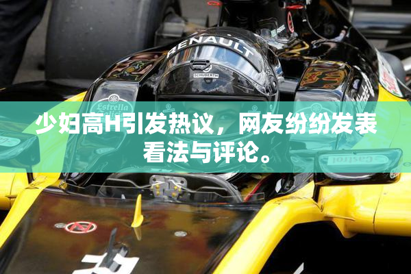 少妇高H引发热议，网友纷纷发表看法与评论。