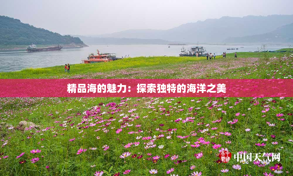 精品海的魅力：探索独特的海洋之美