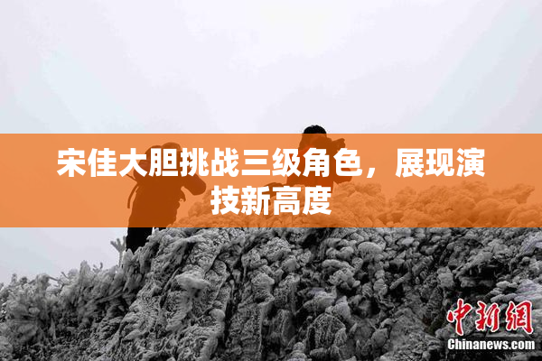宋佳大胆挑战三级角色，展现演技新高度