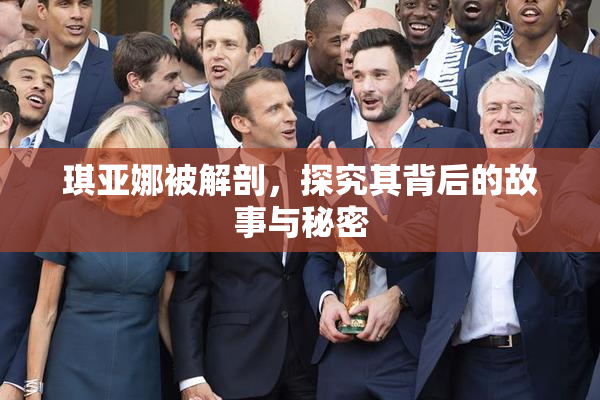 琪亚娜被解剖，探究其背后的故事与秘密