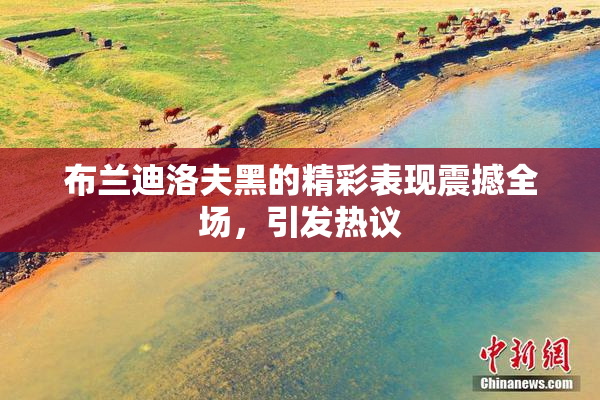 布兰迪洛夫黑的精彩表现震撼全场，引发热议