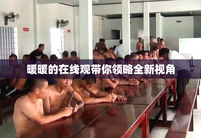 暖暖的在线观带你领略全新视角